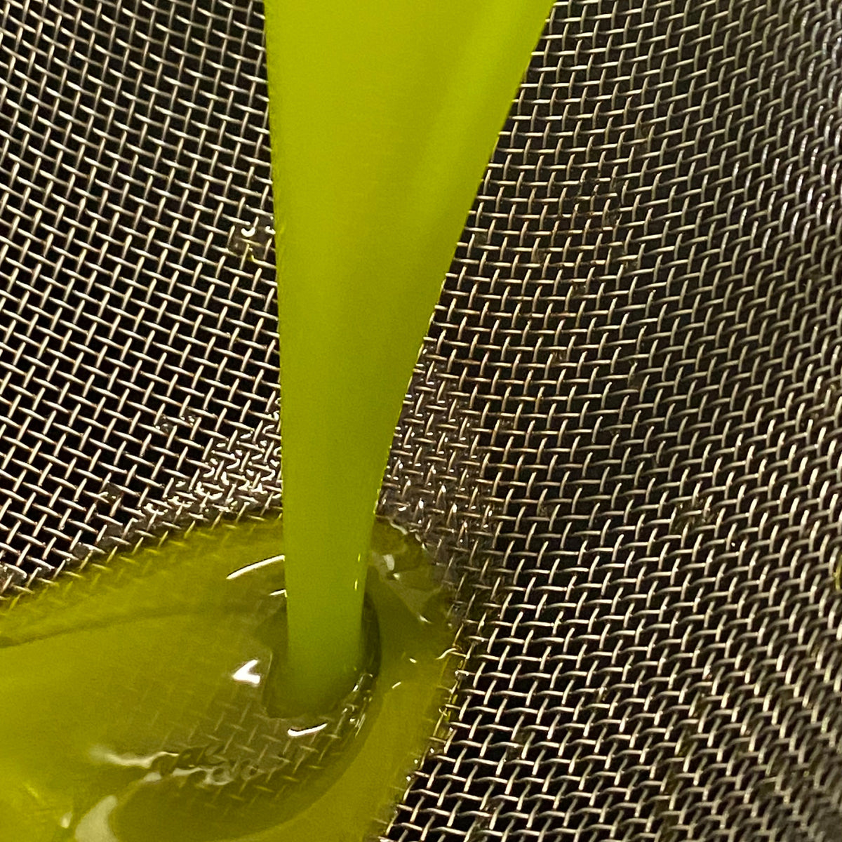 Fresh green olive oil flows through a metal mesh during Tamia’s olive oil production in Lazio, Italy.