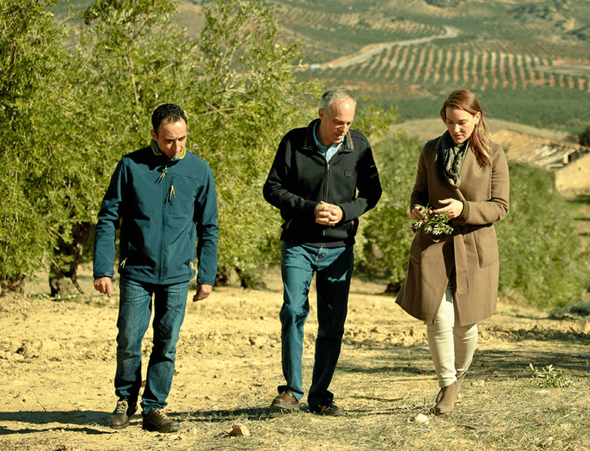 Joanne Lacina walking alongside olive oil producers in Europe through olive fields.